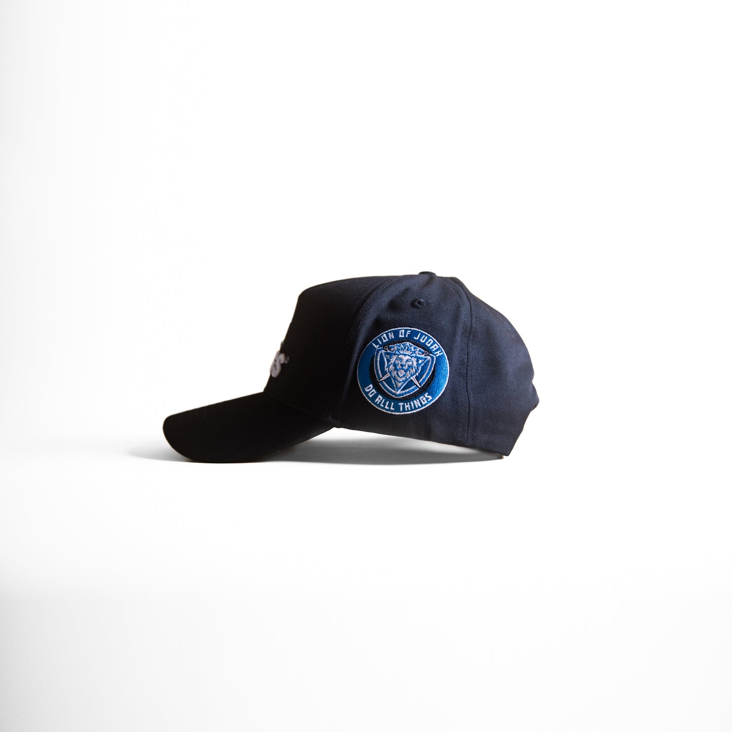 Black cap with 'Do All Things' text on a white background - Detroit Lions cap - faith based snapback - lion of judah - black and blue snapback - lions hats - lions snapbacks - nfl hats - nfl snapbacks